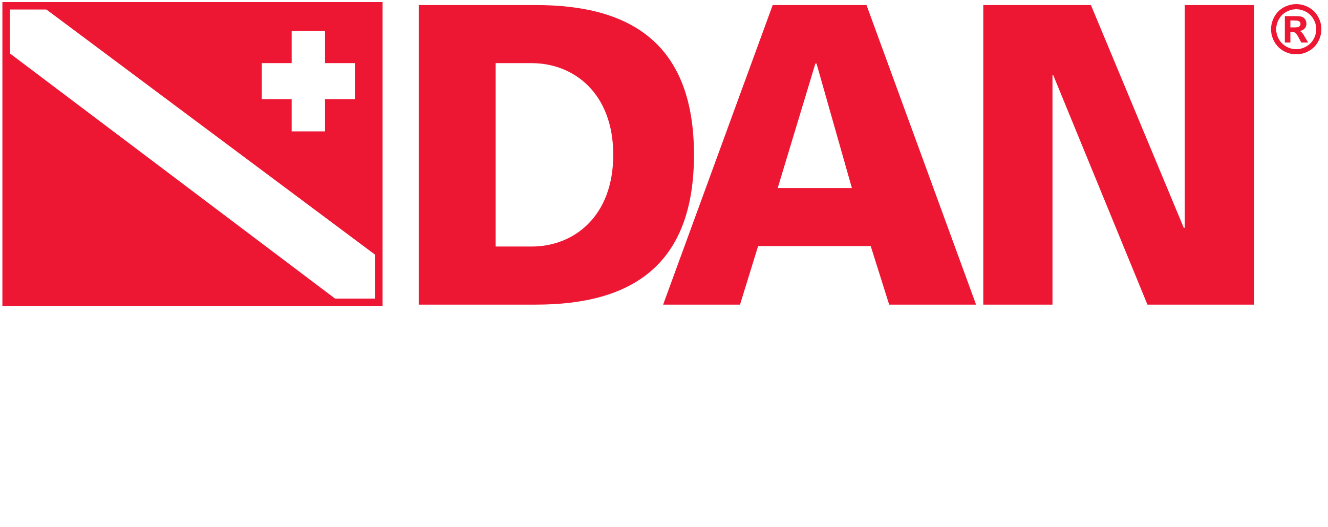 Dan Partner